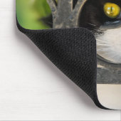 Tapis De Souris Chat curieux avec la monture de lunettes drôle - (Coin)