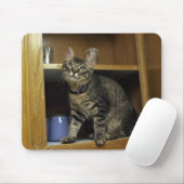 Tapis De Souris Chat dans la Mousepad de la marionnette (Avec souris)