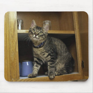 Tapis De Souris Chat dans la Mousepad de la marionnette
