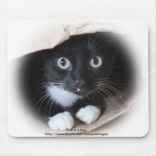 Tapis De Souris Chat dans un sac (Devant)