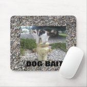 Tapis De Souris Chat d'appât de chien sur un hydratant (Avec souris)