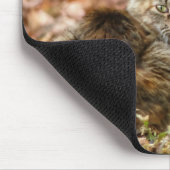 Tapis De Souris Chat d'automne (Coin)