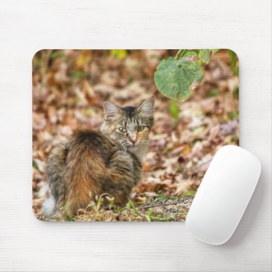 Tapis De Souris Chat d'automne (Avec souris)