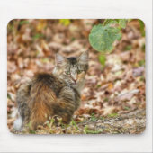 Tapis De Souris Chat d'automne (Devant)