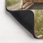 Tapis De Souris Chat de gingembre dans une boîte aux lettres rouil (Coin)