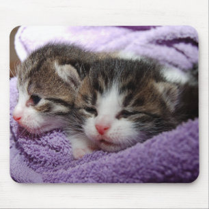 TAPIS DE SOURIS CHAT DE LA CUISINE