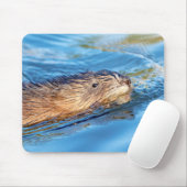 Tapis De Souris Chat de muscat dans les fermes de Vassar Réserve é (Avec souris)