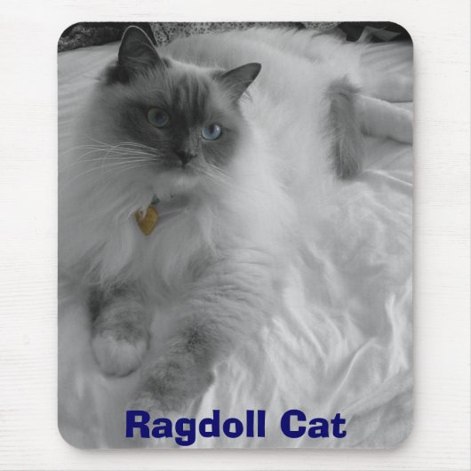 Tapis De Souris Chat de Ragdoll (Devant)