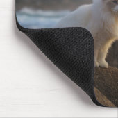Tapis De Souris Chat de Ragdoll à la plage (Coin)