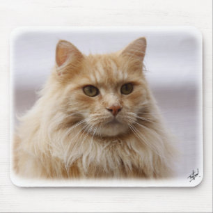 Tapis De Souris Chat de ragondin du Maine 9Y825D-145