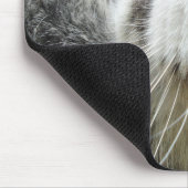 Tapis De Souris Chat de ragondin gris du Maine (Coin)