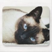 Tapis De Souris Chat de Siamese (Devant)