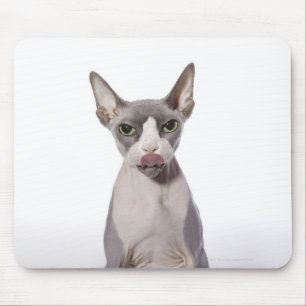 Tapis De Souris Chat de Sphynx avec la langue