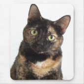 Tapis De Souris Chat d'écaille (Devant)