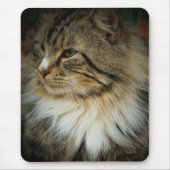 Tapis de souris Chat des Forêts Norvégiennes (Devant)