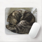 Tapis De Souris Chat endormi (Avec souris)