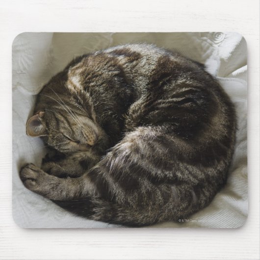 Tapis De Souris Chat endormi (Devant)