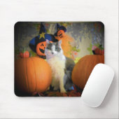 Tapis De Souris Chat entre Citrouilles (Avec souris)