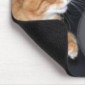 Tapis De Souris chat et poisson rouge (Coin)