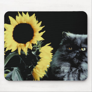 Tapis De Souris Chat et tournesol