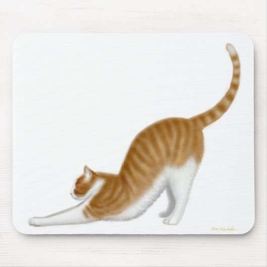 Tapis De Souris Chat étirant Mousepad (Devant)