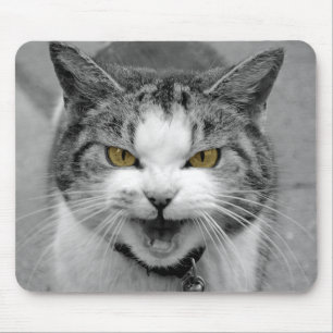 Tapis De Souris Chat fâché