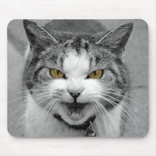 Tapis De Souris Chat fâché (Devant)