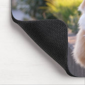 Tapis De Souris chat, félin, mammifère (Coin)