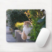 Tapis De Souris chat, félin, mammifère (Avec souris)