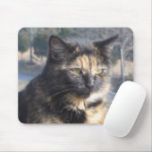 Tapis De Souris Chat fini (Avec souris)
