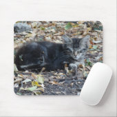 Tapis De Souris Chat gris (Avec souris)