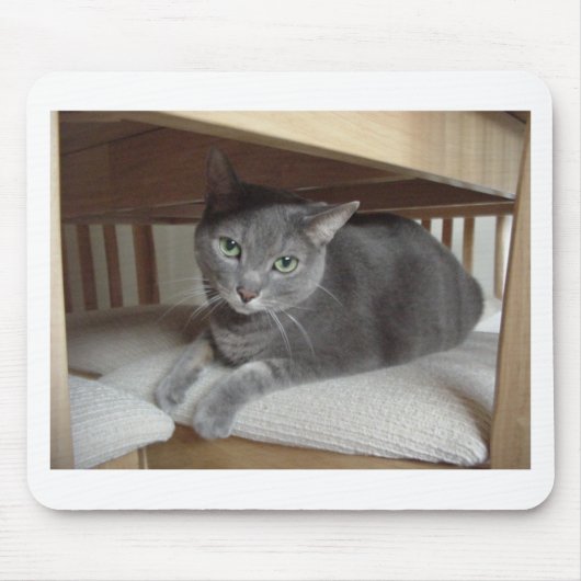 Tapis De Souris Chat gris/bleu russe (Devant)