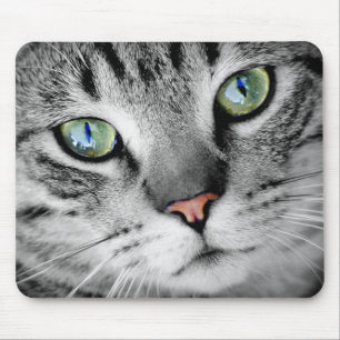 Tapis De Souris Chat Gris Tabby aux Yeux Verts en Gros Plan