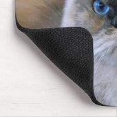 Tapis De Souris Chat himalayen aux yeux bleus (Coin)