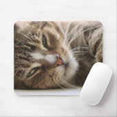 Tapis De Souris Chat, La gueule de bois, L'oeil du chat (Avec souris)