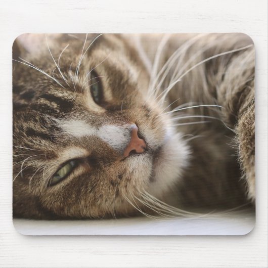 Tapis De Souris Chat, La gueule de bois, L'oeil du chat (Devant)