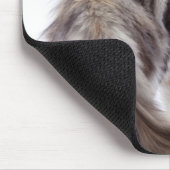 Tapis De Souris chat Maine Coon (Coin)