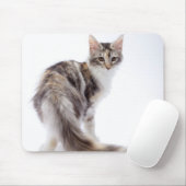 Tapis De Souris chat Maine Coon (Avec souris)