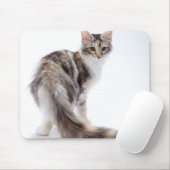 Tapis De Souris chat Maine Coon (Avec souris)