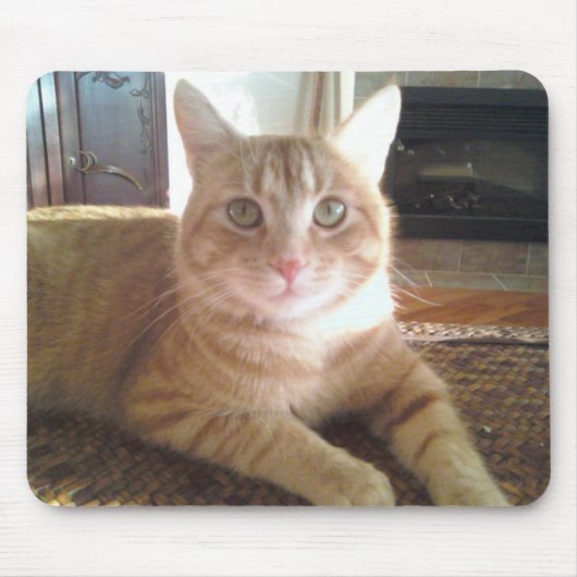 Tapis De Souris chat mannois (Devant)