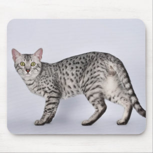 Tapis De Souris Chat Mau Égyptien Rare