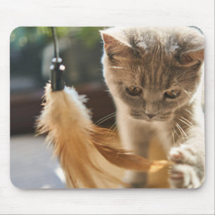 Tapis De Souris Chat, mignonne, jouer