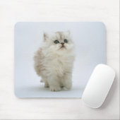 Tapis De Souris Chat Mousepad (Avec souris)