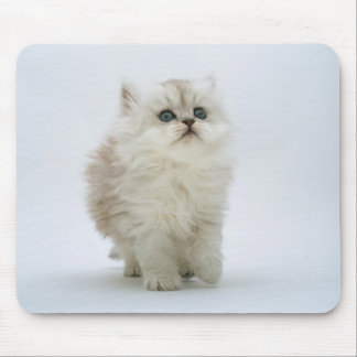 Tapis De Souris Chat Mousepad