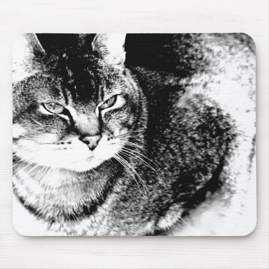 Tapis De Souris Chat Mousepad (Devant)