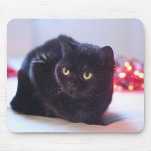 Tapis De Souris Chat Mousepad (Devant)