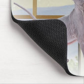 Tapis De Souris Chat Mousepads de Sphynx (Coin)