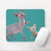 Tapis De Souris Chat Mousepads de Sphynx (Avec souris)
