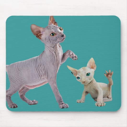 Tapis De Souris Chat Mousepads de Sphynx (Devant)