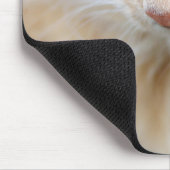 Tapis De Souris Chat, nature, chaton (Coin)